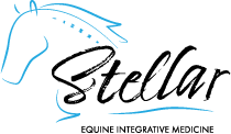Stellar Equine Integrative Medicine