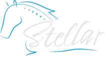 Stellar Equine Integrative Medicine